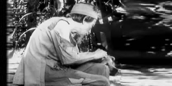 Ảnh minh họa (Nguồn internet)