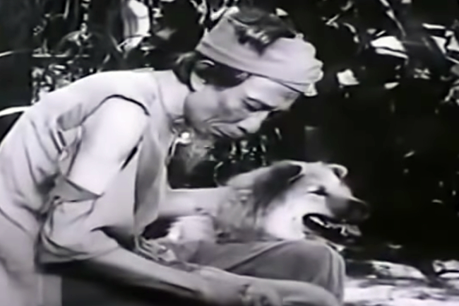 Ảnh minh họa (Nguồn internet)