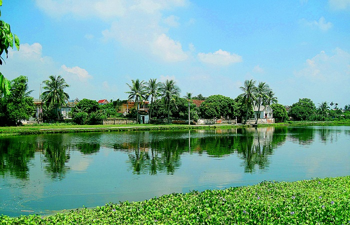 Ảnh minh họa (Nguồn internet)