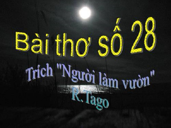 Ảnh minh họa (Nguồn internet)