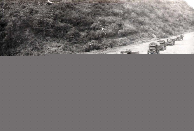 Ảnh minh họa (Nguồn internet)