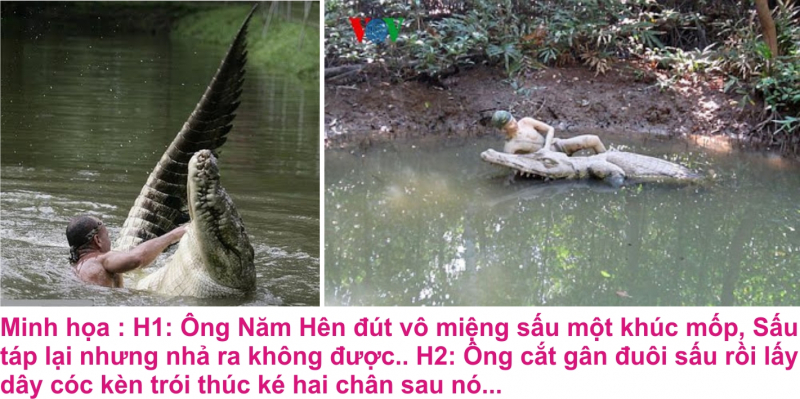 Ảnh minh họa (Nguồn internet)