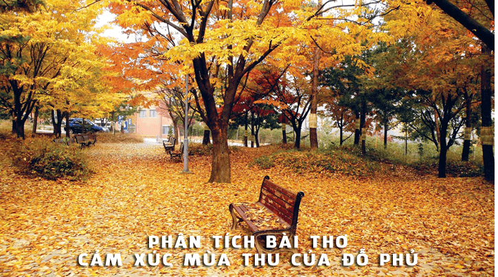 Ảnh minh họa (Nguồn internet)