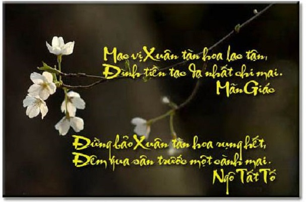 Ảnh minh họa (Nguồn internet)