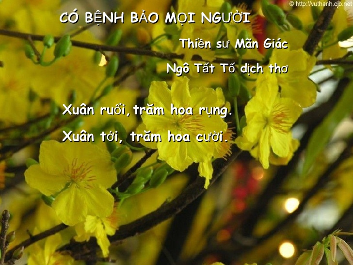 Ảnh minh họa (Nguồn internet)