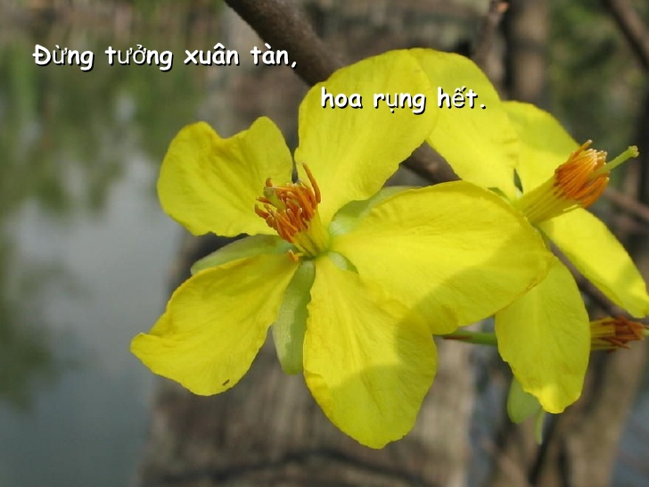 Ảnh minh họa (Nguồn internet)