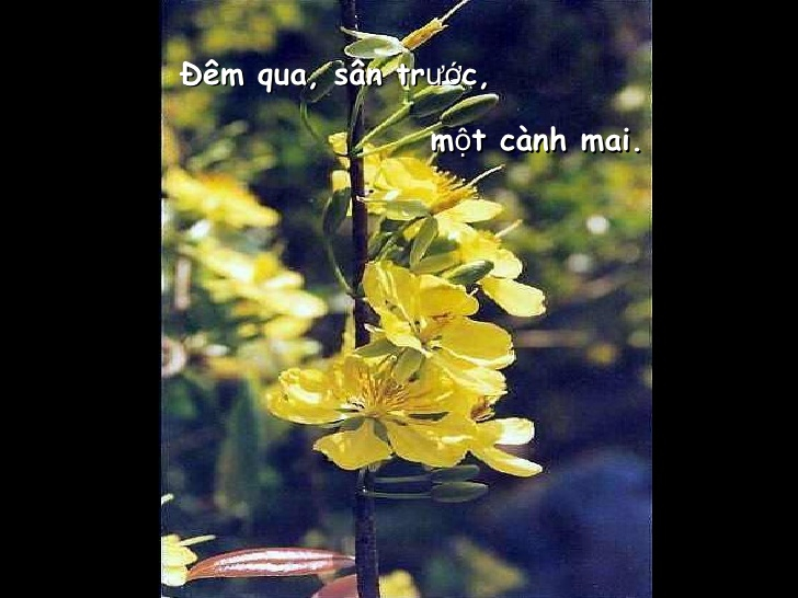 Ảnh minh họa (Nguồn internet)