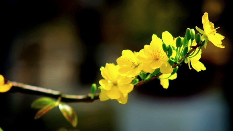 Ảnh minh họa (Nguồn internet)