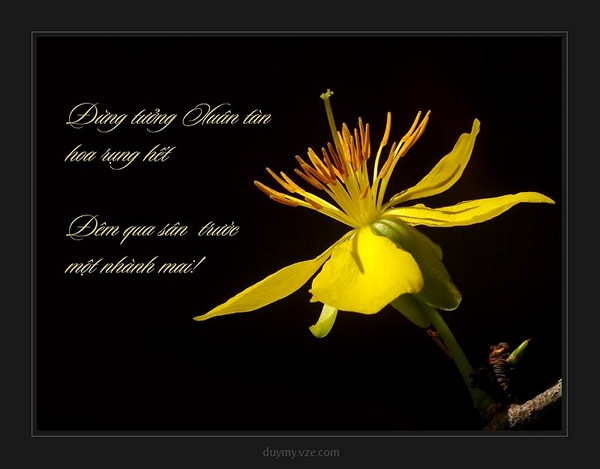 Ảnh minh họa (Nguồn internet)