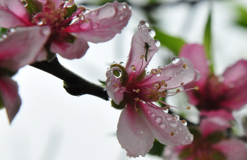 Ảnh minh họa (Nguồn internet)