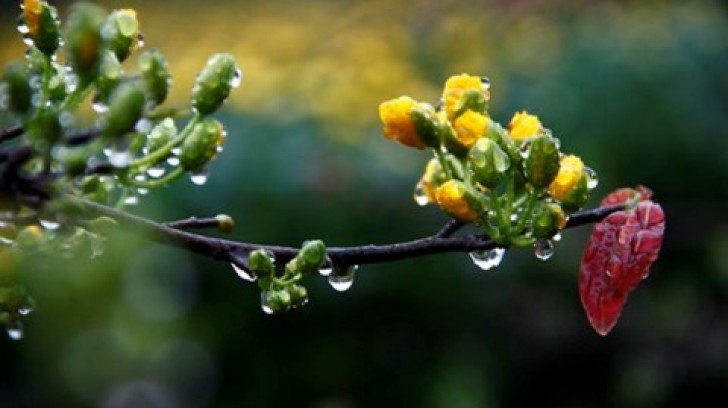 Ảnh minh họa (Nguồn internet)