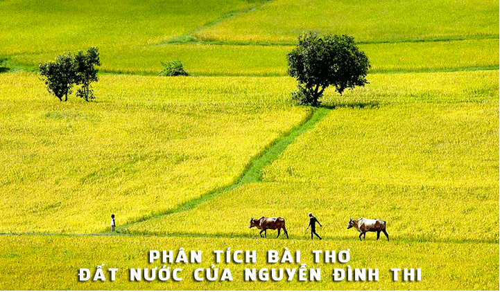 Ảnh minh họa (Nguồn internet)