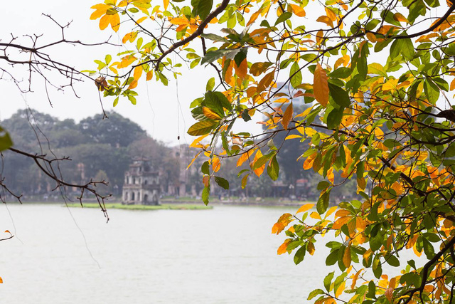 Ảnh minh họa (Nguồn internet)