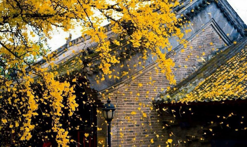 Ảnh minh họa (Nguồn internet)