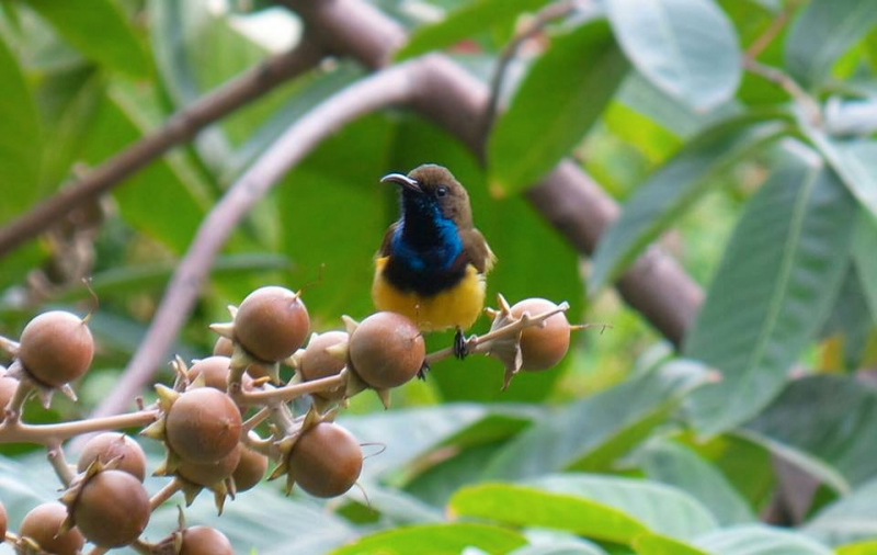 Ảnh minh họa (Nguồn internet)