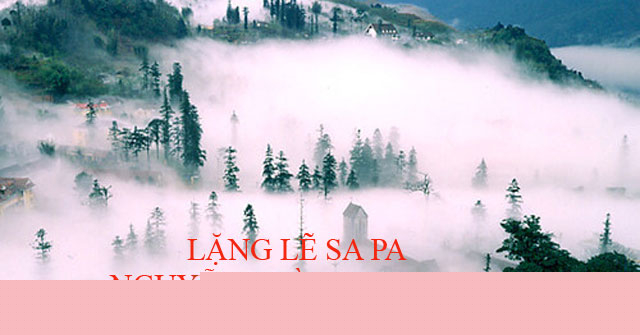 Ảnh minh họa (Nguồn internet)