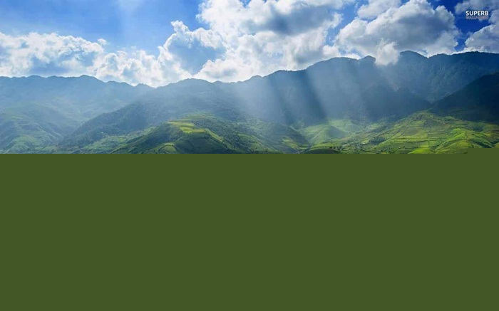 Ảnh minh họa (Nguồn internet)