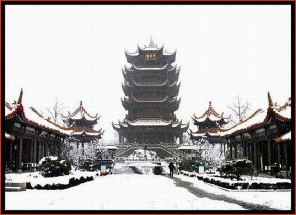 Ảnh minh họa (Nguồn internet)