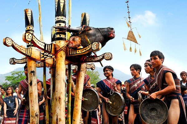 Ảnh minh họa (Nguồn internet)