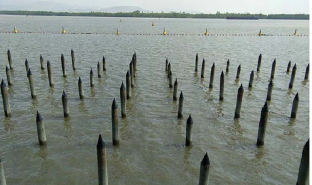 Ảnh minh họa (Nguồn internet)