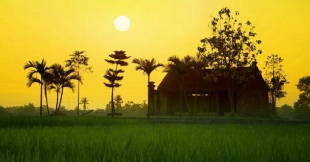 Ảnh minh họa (Nguồn internet)