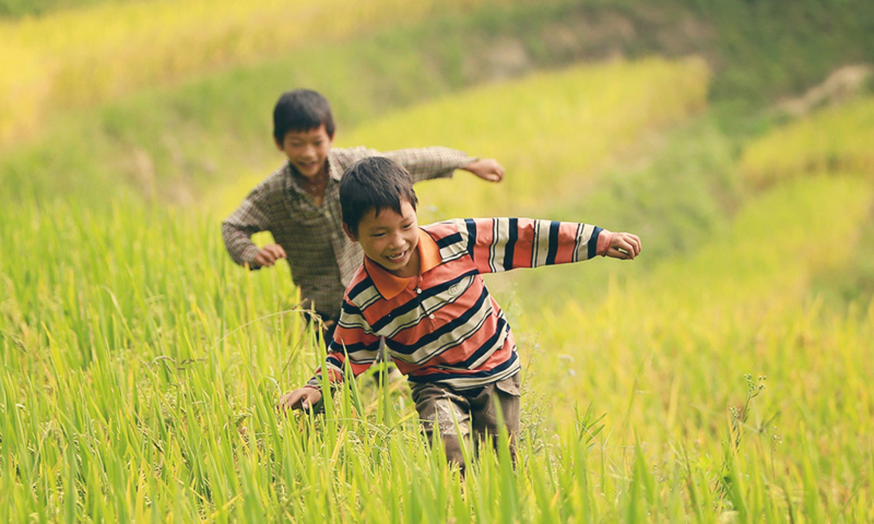 Ảnh minh họa (Nguồn internet)