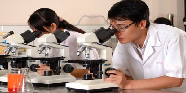 Ảnh minh họa (Nguồn internet)