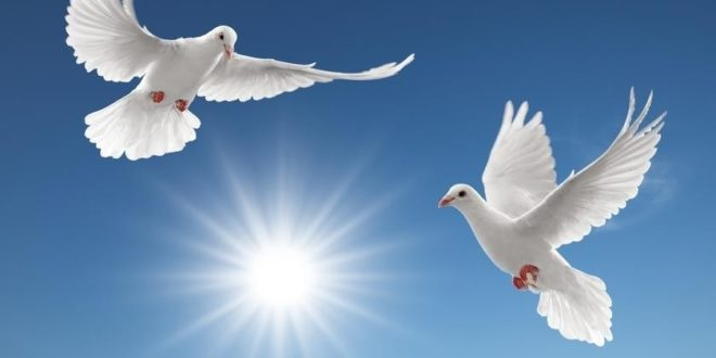 Ảnh minh họa (Nguồn internet)