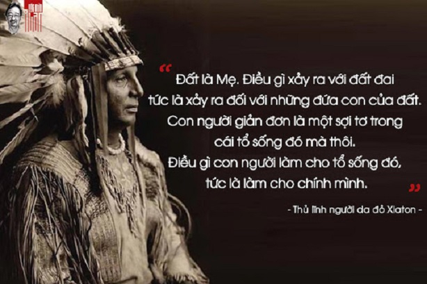 Ảnh minh họa (Nguồn internet)