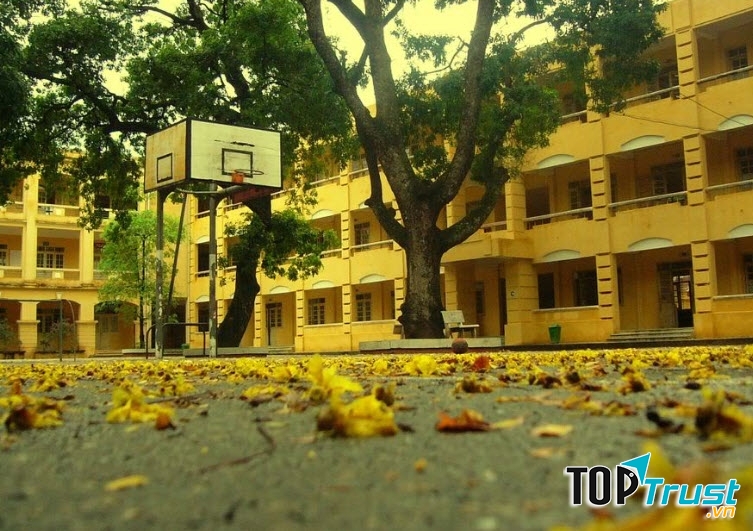 Ảnh minh họa (Nguồn internet)