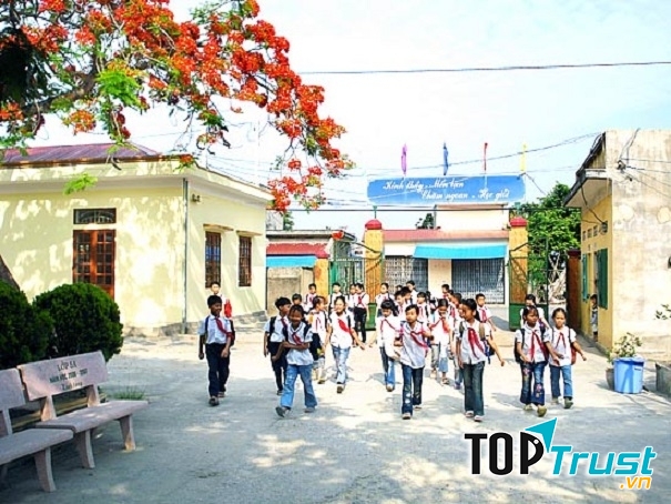 Ảnh minh họa (Nguồn internet)