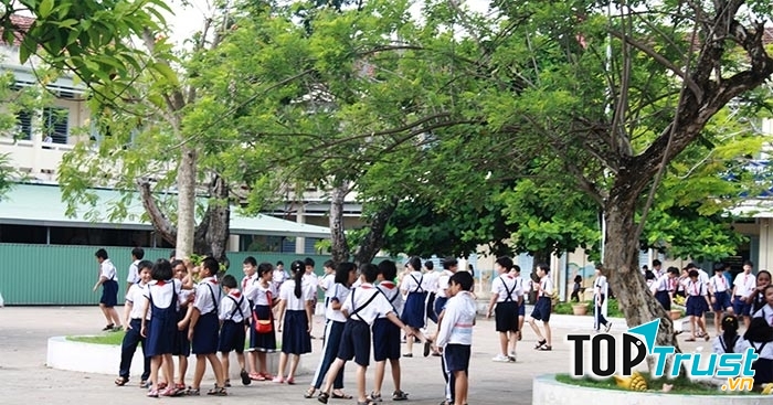 Ảnh minh họa (Nguồn internet)