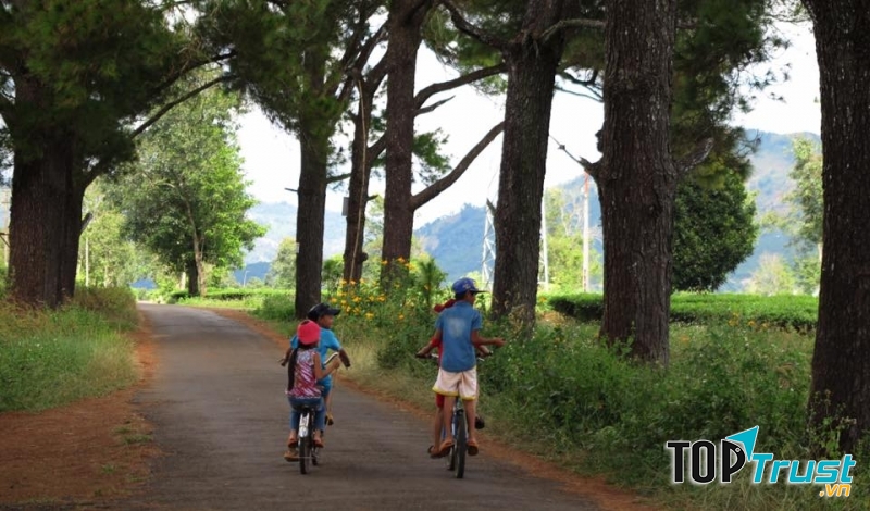 Con đường đến trường