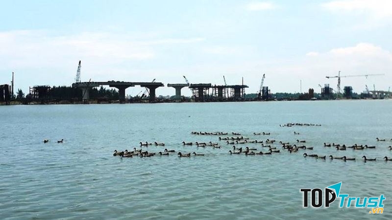 Những con sông quê hương
