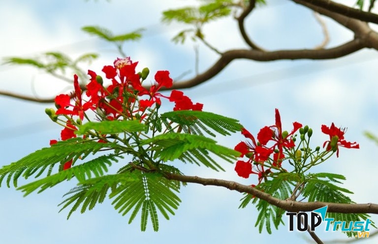 Ảnh minh họa (Nguồn internet)