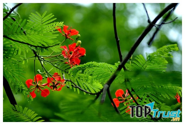 Ảnh minh họa (Nguồn internet)