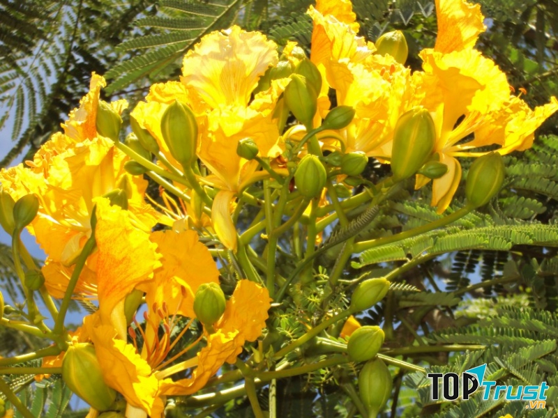 Ảnh minh họa (Nguồn internet)