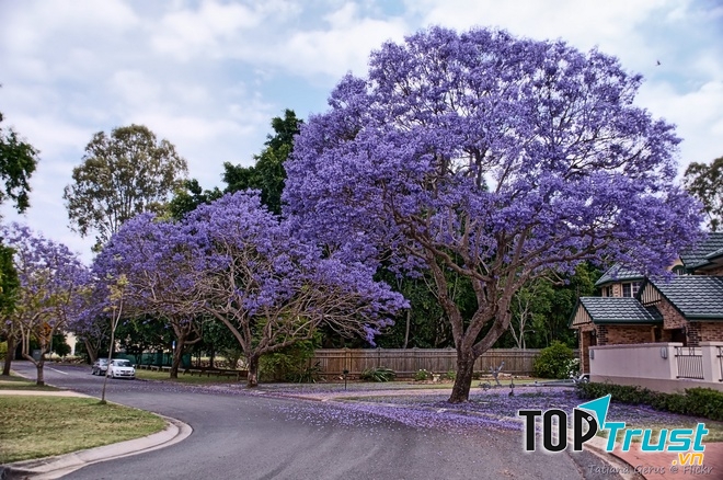 Ảnh minh họa (Nguồn internet)