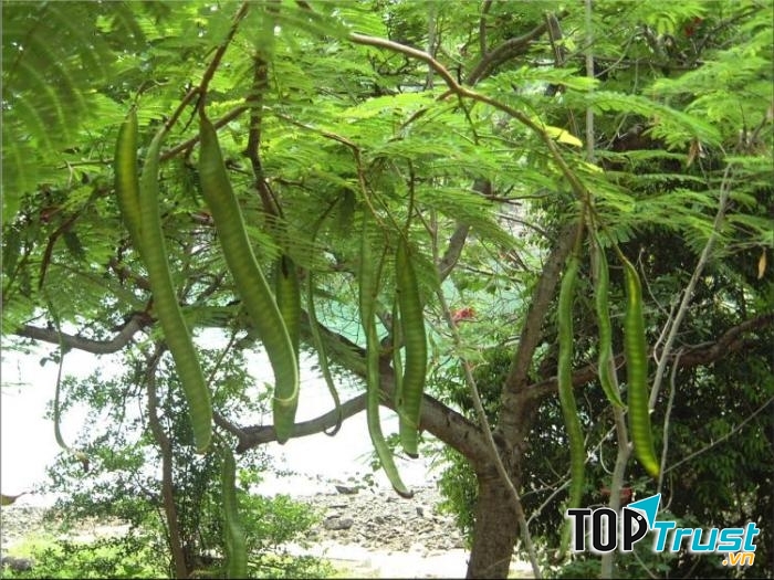 Ảnh minh họa (Nguồn internet)