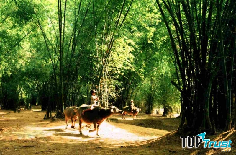 Ảnh minh họa (Nguồn internet)