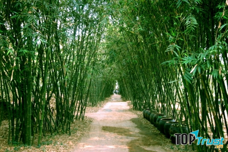 Ảnh minh họa (Nguồn internet)