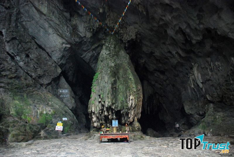 Ảnh minh họa (Nguồn internet)