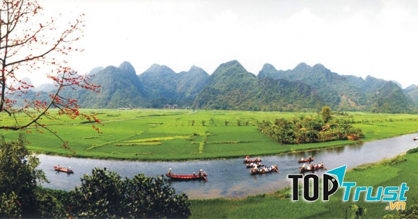 Ảnh minh họa (Nguồn internet)