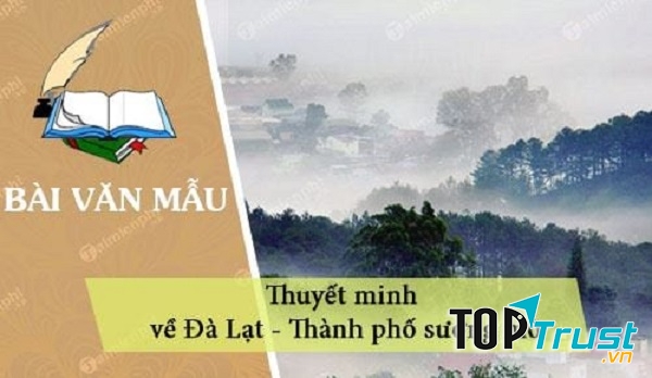 Ảnh minh họa (Nguồn internet)