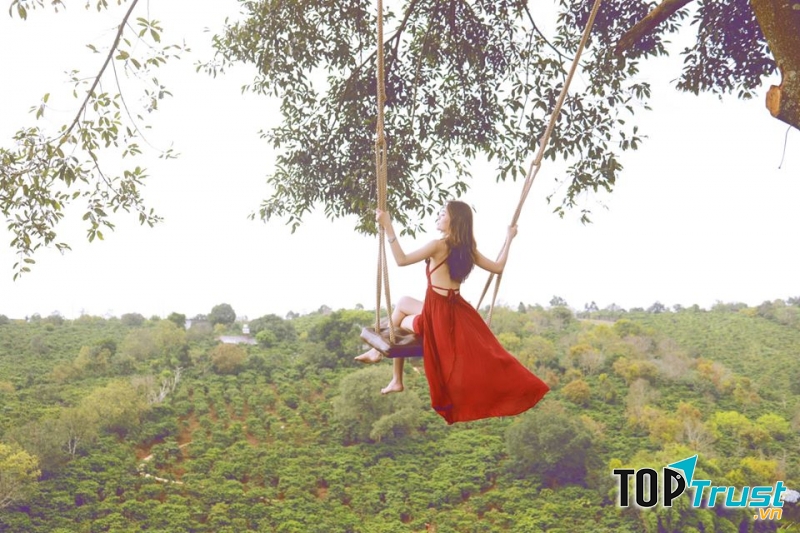 Ảnh minh họa (Nguồn internet)