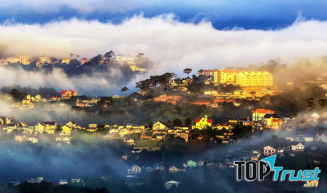 Ảnh minh họa (Nguồn internet)