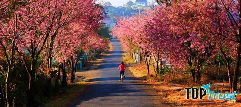 Ảnh minh họa (Nguồn internet)