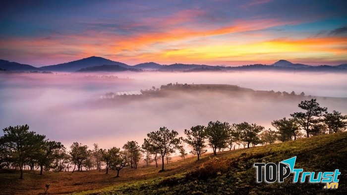 Ảnh minh họa (Nguồn internet)