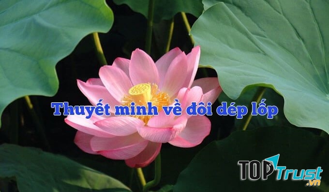 Ảnh minh họa (Nguồn internet)