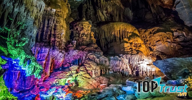 Ảnh minh họa (Nguồn internet)